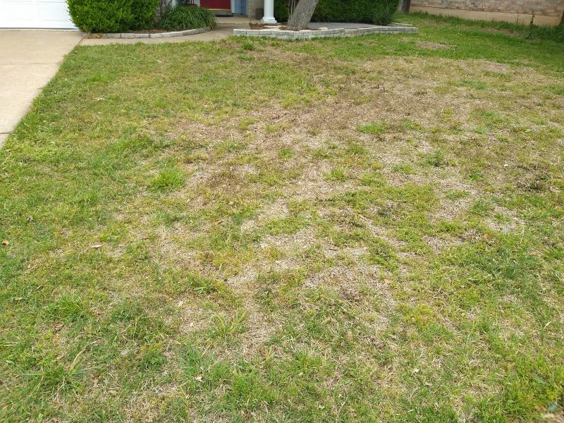 Before